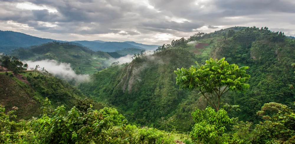 Stunning Ugandan Landscape: Nature's Majesty Unveiled