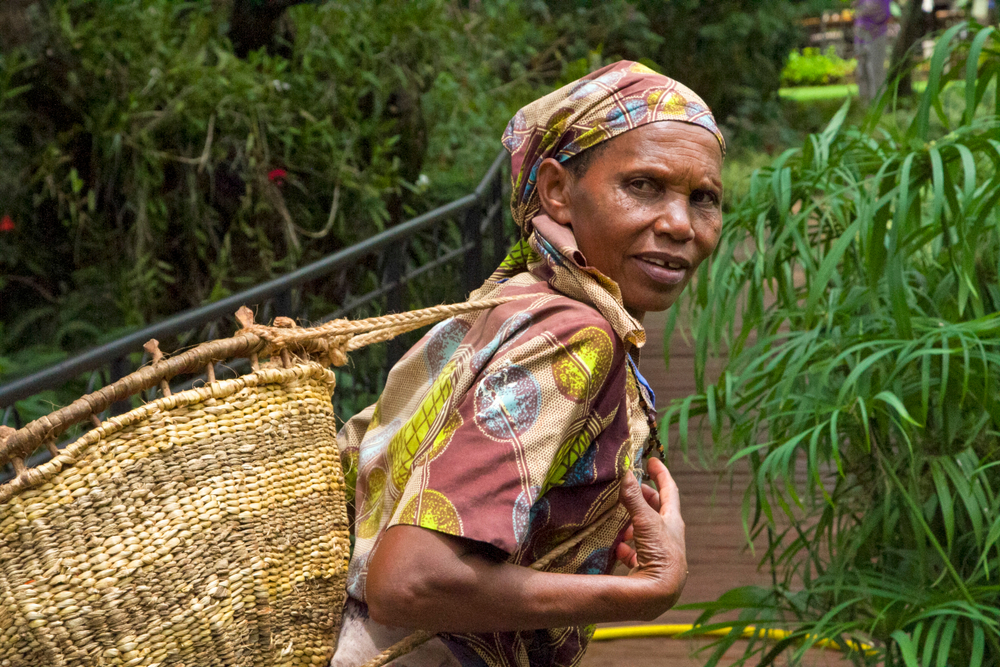 Ultimate Tanzanian Safari Adventure