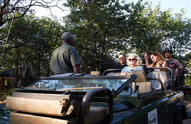 From Urban Exploration to Safari Excitement: A South African Odyssey