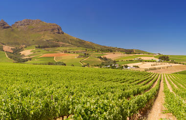 From Urban Exploration to Safari Excitement: A South African Odyssey